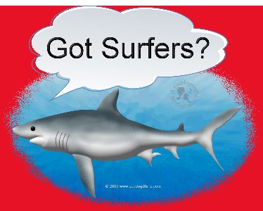 ../Images/got surfers shark L.jpg